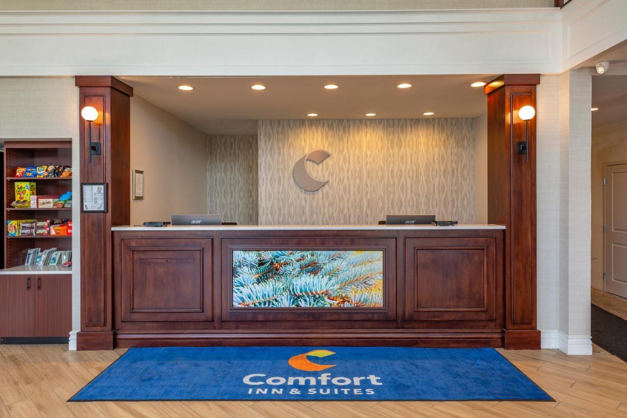 Comfort Inn & Suites East Greenbush - Albany Extérieur photo