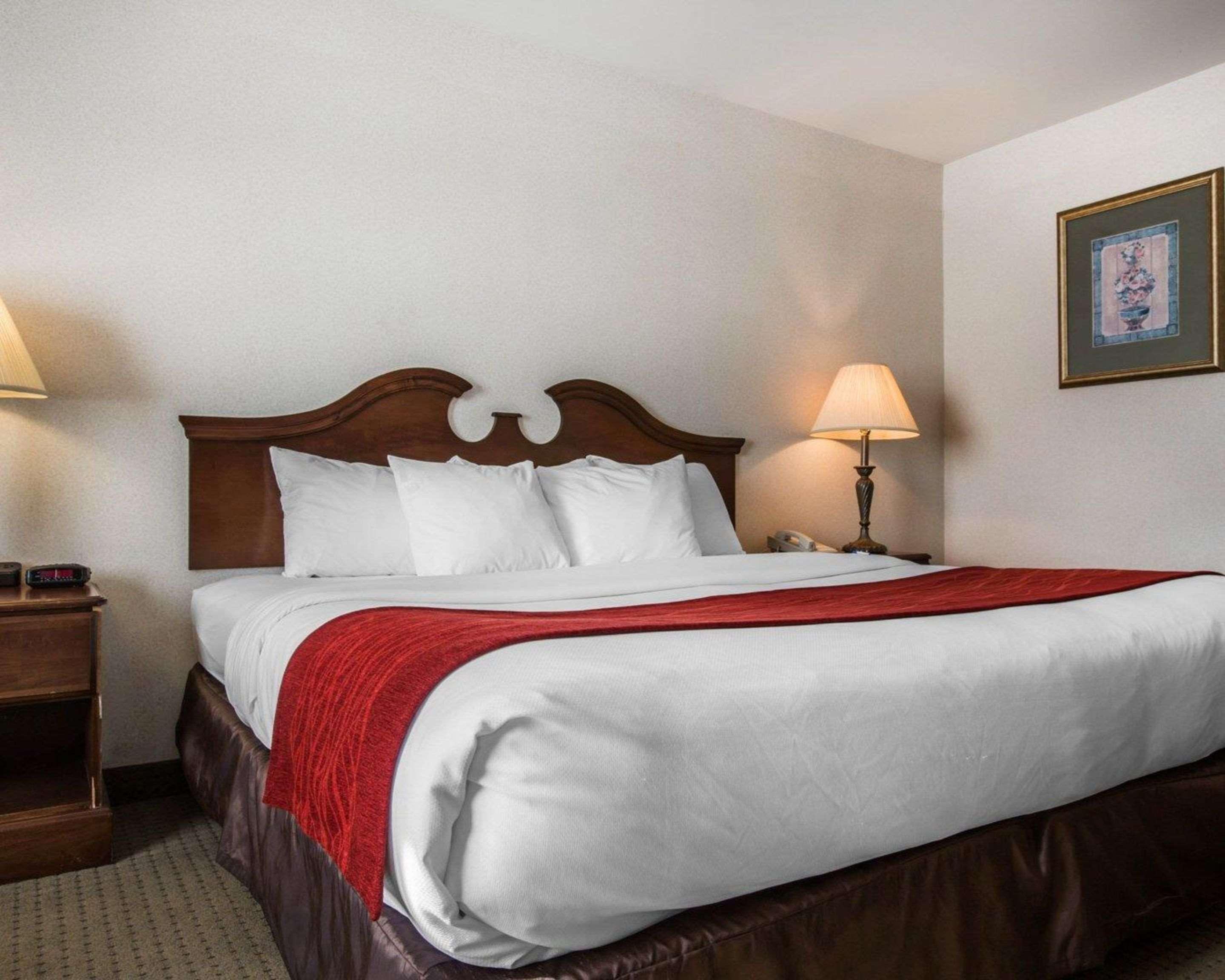 Comfort Inn & Suites East Greenbush - Albany Extérieur photo